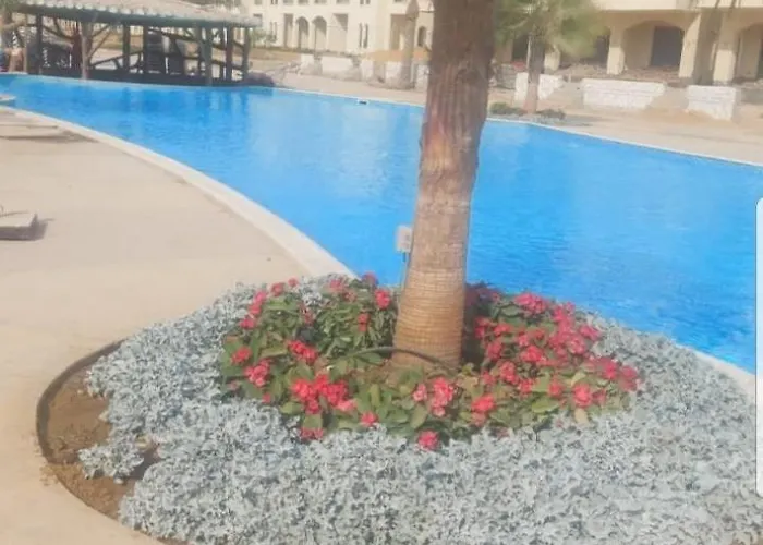 Laserina Palm Khorshed Stadio Direct On For Families Only (adults Only) *