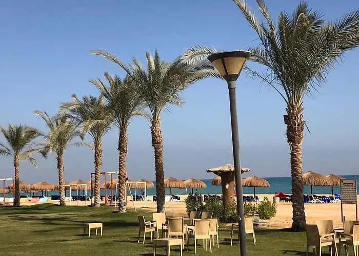 Laserina Palm Khorshed Stadio Direct On For Families Only (adults Only) *