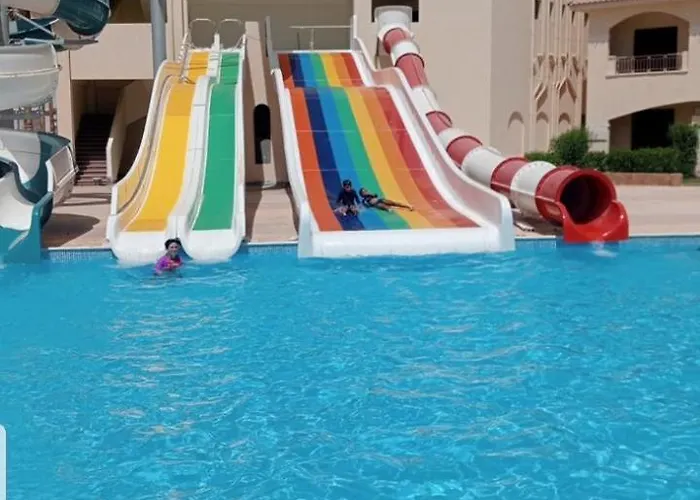 Laserina Palm Khorshed Stadio Direct On For Families Only (adults Only) *