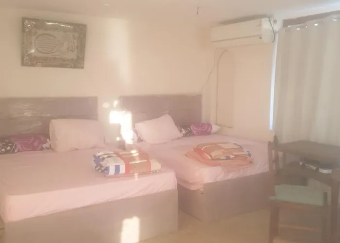 Laserina Palm Khorshed Stadio Direct On For Families Only (adults Only) Ain Sukhna