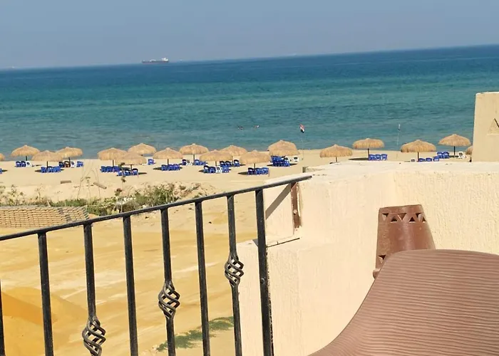 Laserina Palm Khorshed Stadio Direct On For Families Only (adults Only) *