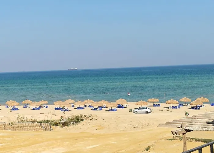 Laserina Palm Khorshed Stadio Direct On For Families Only (adults Only) *